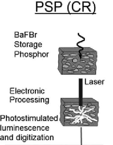 Digital Image Receptors (DR) Flat Panel Detectors Exit radiation absorbed by phosphor Laser extracts stored