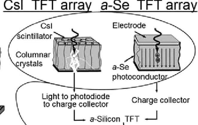 then electrons or directly to electrons Electric signal digitized CR and DR differ in the method of image