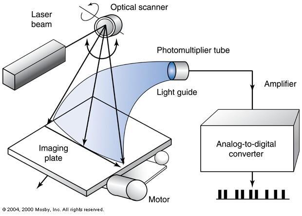 CR Image Acquisition: Scanning A continuous pattern of light intensities are sent to the Photomultiplier Tube (PMT) The PMT collects, amplifies, and converts the