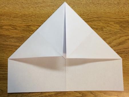 Fold the top two outer corners inward to create triangles