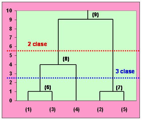 Dendrograma Ca rezultat al algoritmului se obţine arborele de clasificare (dendrograma). Prin secţionarea orizontală a dendrogramei se obţine o partiţie a mulţimii elementelor clasificate.