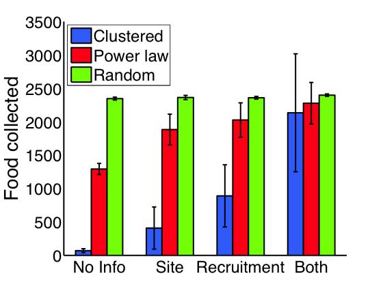 Fig. 2. Bars represent number of seeds collected during simulated foraging trials by colonies of 100 foragers.