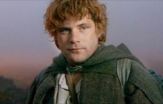 Samwise in Lord of the Rings Samwise looks up to Frodo in The Lord of the Rings. He starts the story as a gardener, joining the group almost by accident. He feels it s his job to keep Frodo safe.