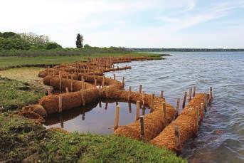 Building Living Shorelines Creating a living shoreline at the seaward edge of a salt marsh adds protection from increased erosion due to wave action.