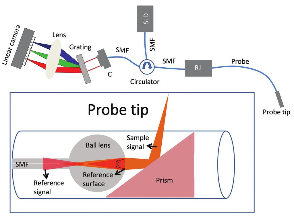 Improved methodologies Figure 1. Light from super luminescent diode (SLD) is coupled to a circulator which directs the light towards the rotary junction (RJ) in the sample arm.