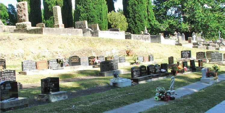 2. Purchasing a plot 2.1. Allocation of plots The Cemeteries and Crematorium Manager allocates plots.