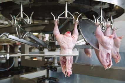 The reason is simple - professionals demand the best, since anything less may fail, wasting time and money. Hyde gives the poultry processing industry the edge it needs!