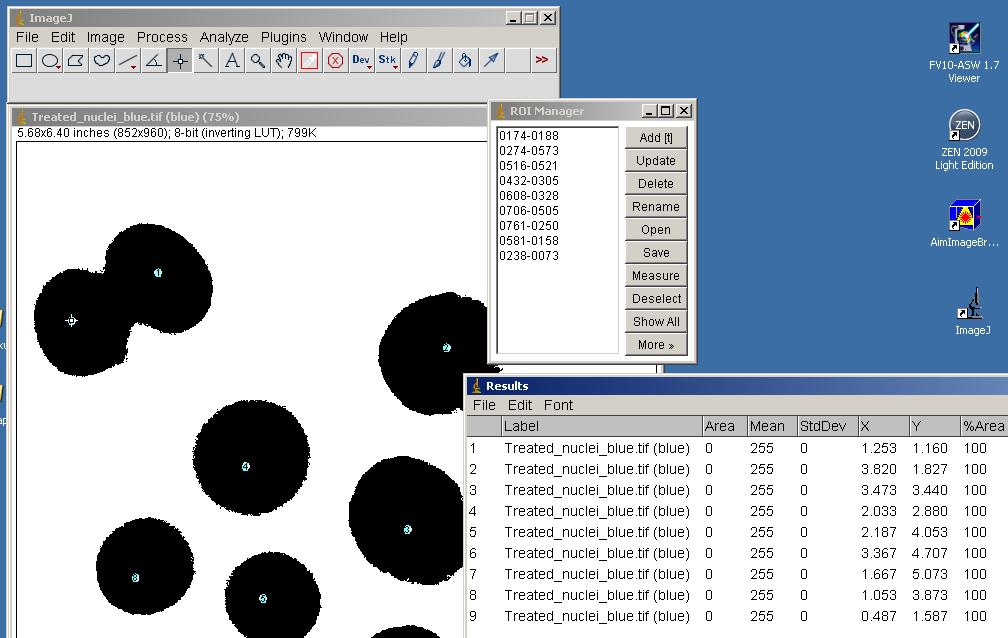 Use the Magnifying tool if necessary to make the objects (cells) look bigger and the Hand tool