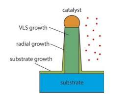 Depending on the growth parameters, VLS growth via catalyst alloy, radial overcoating on the existing nanowire sidewalls and thin film deposition on substrate may occur. Suspension.