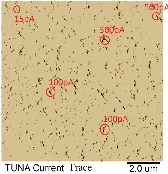 PF TUNA GaN nanowires were investigated also by PF TUNA.