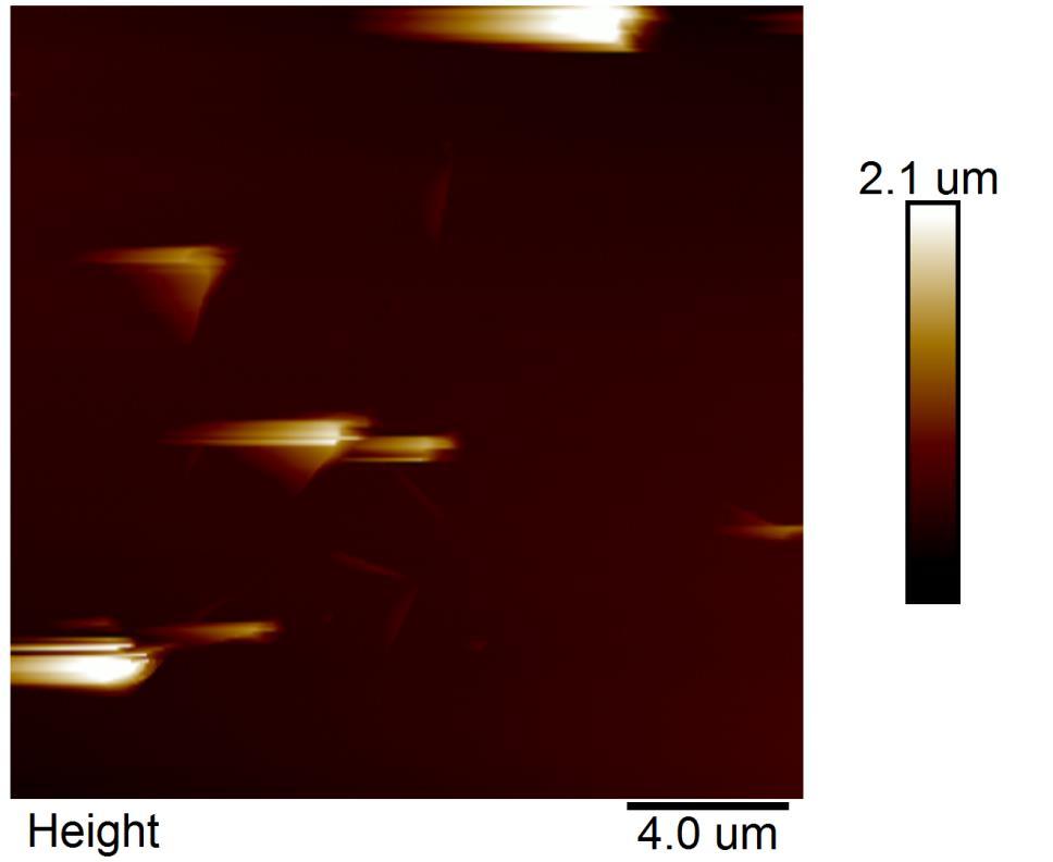 PF TUNA mode. Sample 4 InP nanowire were investigated by PF TUNA.