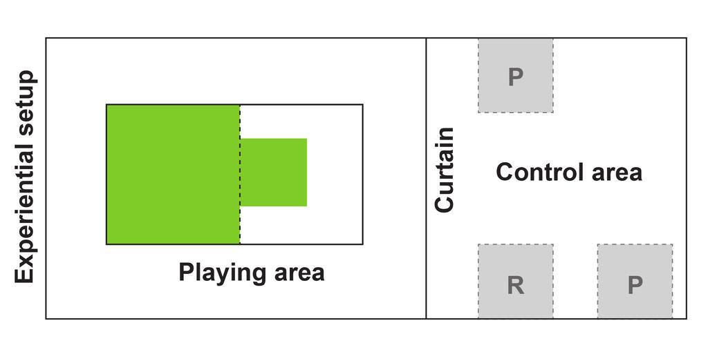 Figure 3.6: Playing, and control and evaluation areas.