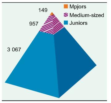 Figura IV.6. Piramida societăților miniere metalifere, 2006 (număr de societăți) Locul 2005 Tabelul IV.4.