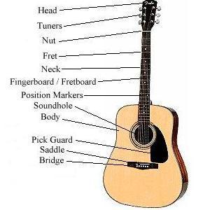 Lesson 1: Introduction to the Guitar Guitar Terms Congratulations on buying a new guitar! In order to become a guitarist, you should learn the parts of the guitar.