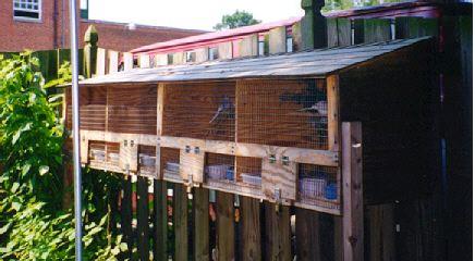This project is the making of a four unit, cage suitable for the outdoors.