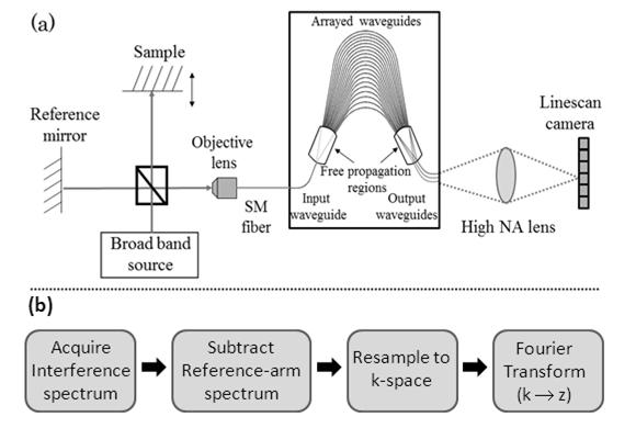 Chapter 3 Figure 3.3: a) Optical measurement set-up of the SD-OCT system with free-space Michelson interferometer and integrated AWG spectrometer. b) Signal processing steps for SD-OCT.