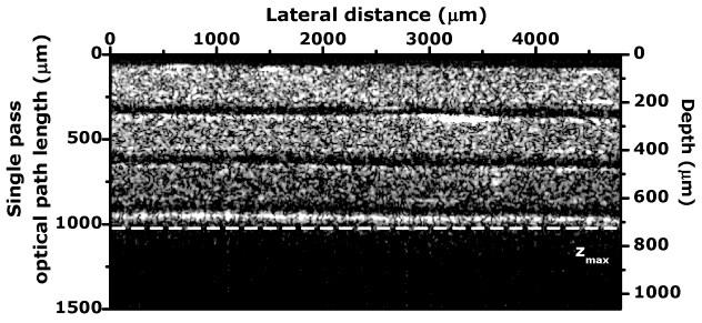 Chapter 3 Figure 3.7: OCT image of the three-layered scattering phantom measured with the AWG as spectrometer in SD- OCT. The dashed-line indicates the maximum imaging depth. 3.5 Conclusion We designed, fabricated, and characterized SiON-based AWGs for the 800 nm and 1300 nm spectral regions with overall chip sizes of 2.