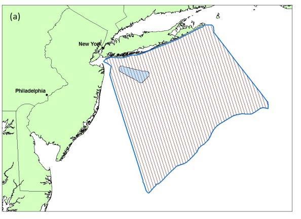 Figure 1. (a) New York Offshore Planning Area (OPA) showing transect survey protocol to achieve 7% coverage with Shearwater II.