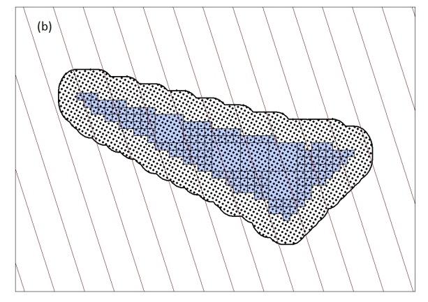 (a) New York Offshore Planning Area (OPA) showing transect survey protocol to achieve 7% coverage with Shearwater III.