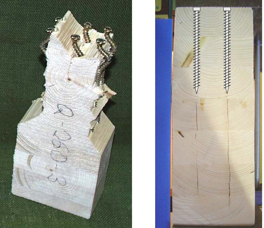 Failure (bow) due to acieve te compressive strengt perpendicular to te grain Fig. 2: Buckling of te screws and timber failure in a plane formed by te screw tips 2.