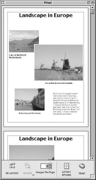 Printing Images 77 1. Select the image(s) you wish to print and click the [Print Layout] button. Movie images cannot be printed. You must convert RAW images before printing them (pp. 93-94, 104-106).