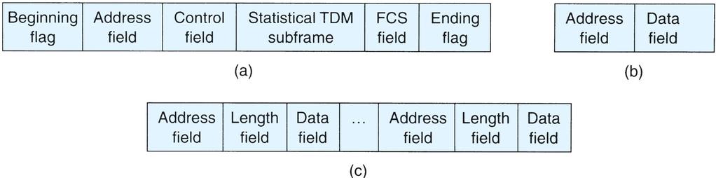 FIGURE 7-22 Statistical TDM frame format: (a) overall statistical
