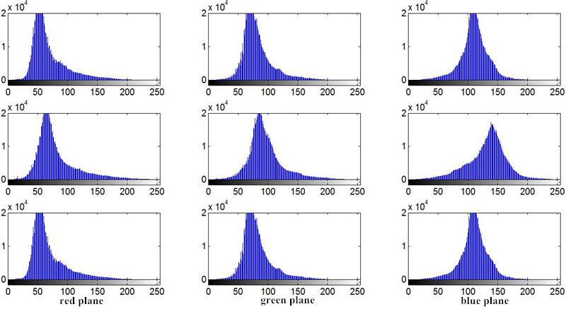 Fig.5 The histogram of RGB image after equalization Merging the histogram of RGB image after equalized into a new RGB image.the results as shown in figure 6. Fig.