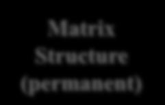 Expertise Projects (temporary Matrix) Executive of Banking & Insurance Research Projects