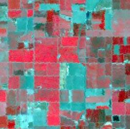 Repeat imagery of the same area through the growing season adds to our ability to recognize and distinguish plant or crop types.