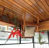 Western Red Cedar decks are firm but resilient underfoot, not hard and unyielding as many other materials.