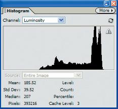 3 Select [Window]-[Histogram] from the menu bar. When the Histogram dialog box appears, check that Luminosity is selected under the Channel option.