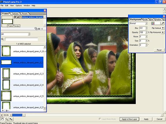 To see any frame, just double click it, and it s there on your picture. To see your whole photo, minimize the palettes by pressing the Tab key, just like in Photoshop.