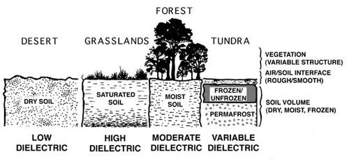 Dielectric constant (moisture content) Different vegetation types will all have different backscatter properties.