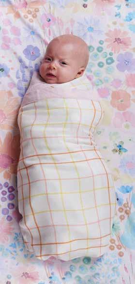 BLANKY EAT PINK COT & BASSINET