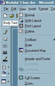 Moduri de vizualizare a unui document Word oferă patru moduri de vizualizare (afişare) a unui document pe ecran la editare: Normal, Outline (schiţă), Page Layout (pagină) (sau Print Layout în