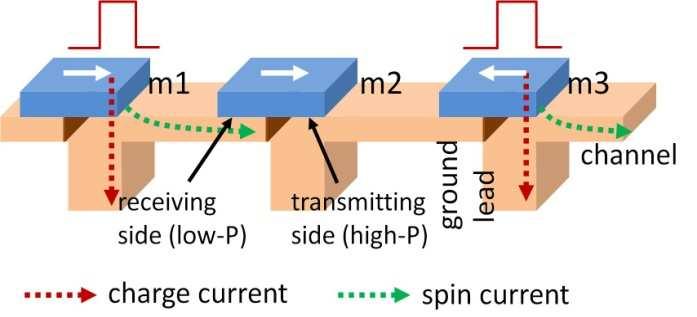 The injected charge current induces a spin-diffusion current on the transmitting (high-p) side of m 1 and m 3, which in turn, is absorbed by the receiving magnets low-p side (low-p side of m 2 as