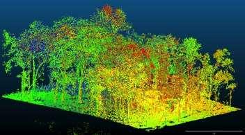terrestrial LiDAR are being used to study three