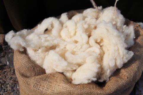 centuries, the English wool trade was primarily with Flanders (where wool was