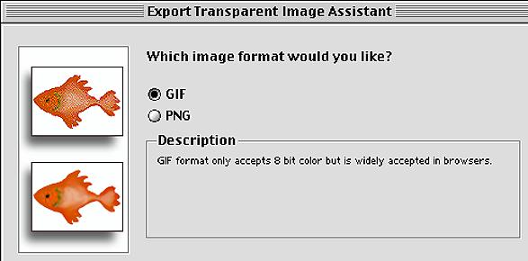 What Kind of file? Choose Gif Format, Click Next. 4.