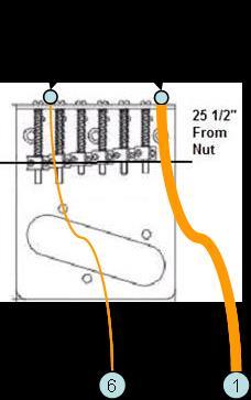 4.2 Attach the Neck to the Body reminder TIP rubbing the threads of the screw on a bar of soap or candle will help prevent the wood from splitting 1. Insert the Neck in the neck pocket. 2.