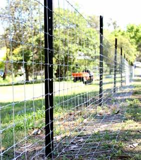Stiff Stay knot to increase rigidity of fence Built to withstand impact Resists buckling and sagging Available with graduated line wire spacings or with 100mm (non-graduated) line spacings from