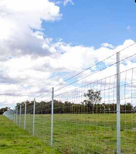 Soft - easy to handle and tie Medium Tensile - ideal with prefab fencing High Tensile - suited to longer strains The wire is recoiled on new machines to provide smooth & tangle free delivery off the
