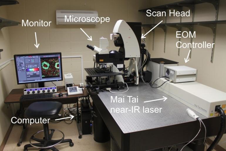User Guide to the IBIF Leica TCS SP8 MP Confocal Microscope This version: 7.24.14.