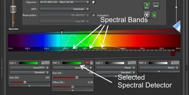 Alternate Acquisition Modes - Spectral Select xyλ or similar acquisition mode.