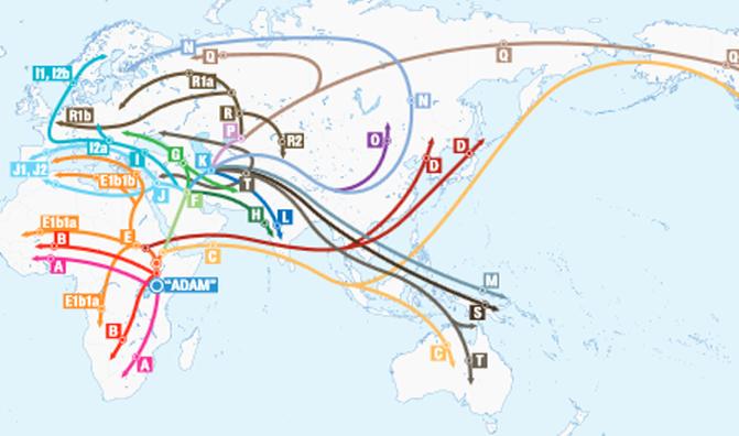 DNA Basics Y-DNA Haplogroup Migration