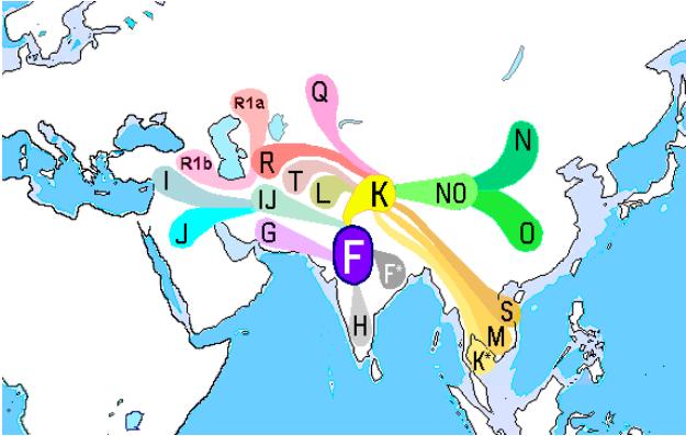 The Spread of Haplogroup F Source: Wikimedia Commons (http://en.