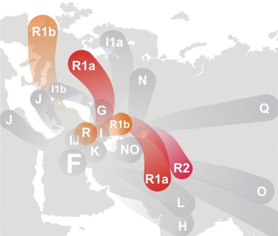 Haplogroup R s Dispersion Source: Wikimedia Commons (http://en.
