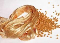 INTRODUCTION The new soybean protein