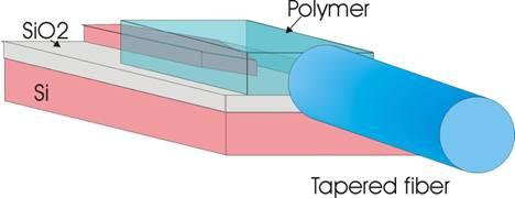 Polymer taper Spraycoating of polymer: Polymer taper as the last step