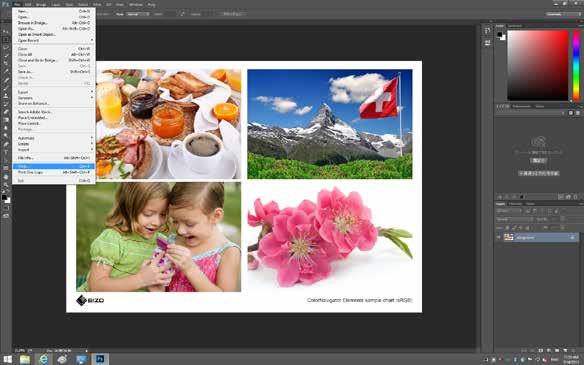 Select the Layout and click the Print Settings button. Settings screen, select Photoshop Manages Colors under Color Handling.